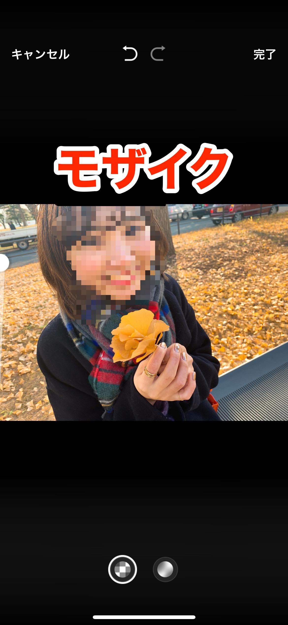 写真 動画にモザイク ぼかし加工できるアプリおすすめ7選 やり方も解説 アプリオ