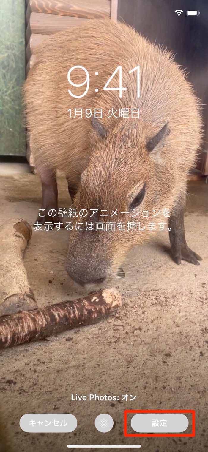 Iphoneのロック画面に 動く壁紙 を設定する3つの方法 アプリオ