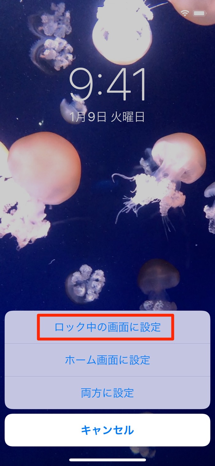 Iphoneのロック画面に 動く壁紙 を設定する3つの方法 アプリオ