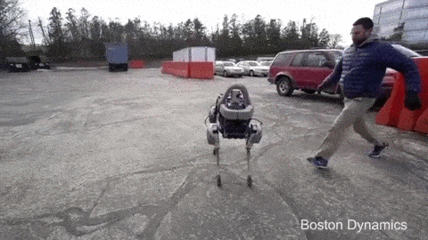 3gifłW߂Ă݂X 23 []ڋ֎~]©bbspink.com	xvideo>1{ fc2>1{ YouTube>5{ dailymotion>1{ ->摜>503 