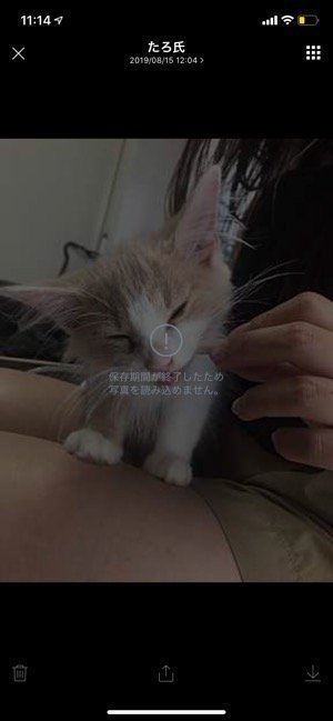 Line 写真 動画の保存期間は 期限が切れると保存 復元できない 予防策を解説 アプリオ Line 写真 動画の保存期間は 期限が切れると保存 復元できない 予防策を解説 アプリオ