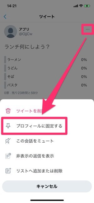 Twitter　アンケート　固定されたツイート