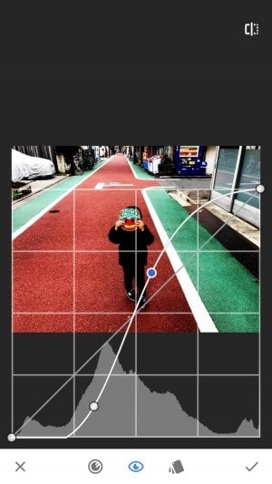 Snapseed：カーブ機能