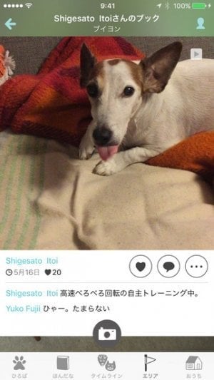 ほぼ日刊イトイ新聞 犬や猫と人が親しくなるためのアプリ ドコノコ をリリース アプリオ ほぼ日刊イトイ新聞 犬や猫と人が親しくなるためのアプリ ドコノコ をリリース アプリオ