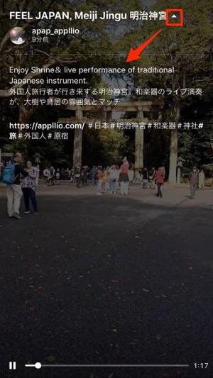 手順3：タイトル、動画の内容を入力する