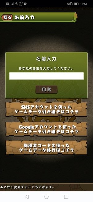 パズドラ　名前入力　OK