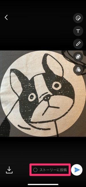 Lineのプロフィール画像を変更する方法 タイムライン ストーリーに投稿されない設定も解説 アプリオ Lineのプロフィール画像を変更する方法 タイムライン ストーリーに投稿されない設定も解説 アプリオ