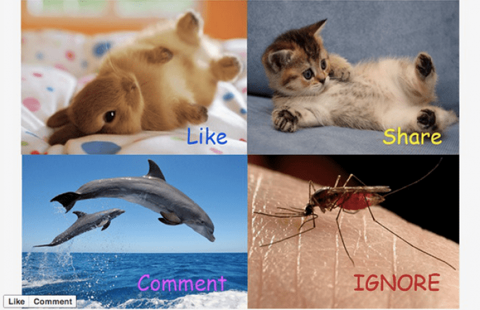 Facebookスパム