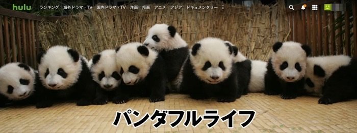 Huluおすすめ パンダフルライフ Huluおすすめ パンダフルライフ