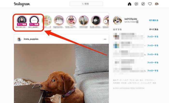 インスタライブを視聴 配信する方法 アーカイブやコメント機能も解説 アプリオ