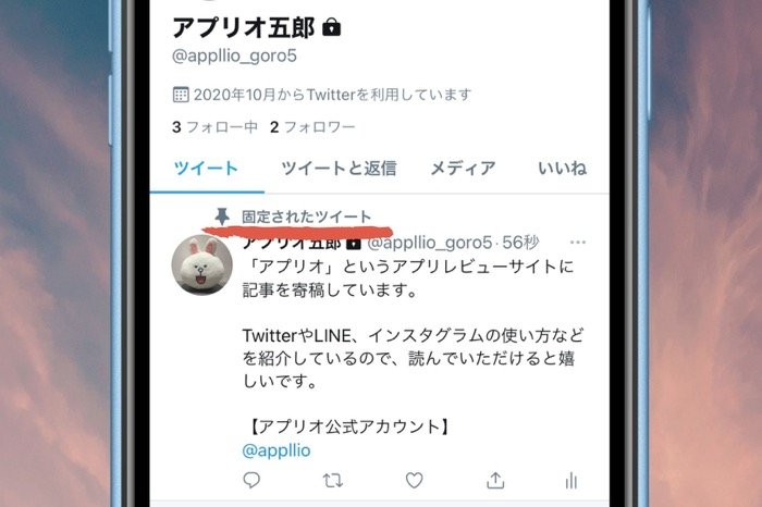 Twitterで 固定ツイート を設定 解除する方法 できないケースやpcでのやり方も解説 アプリオ Twitterで 固定ツイート を設定 解除する方法 できないケースやpcでのやり方も解説 アプリオ