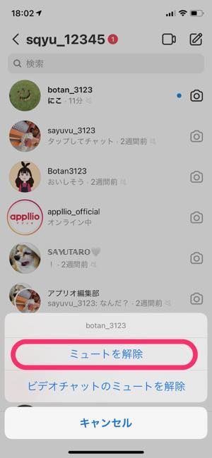 インスタグラム Dmのミュートとは ブロック以外で受信拒否する設定方法 アプリオ