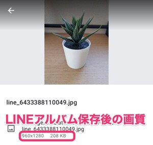 【LINE】アルバム保存時の画質
