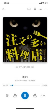 Google Play Audiobooks
