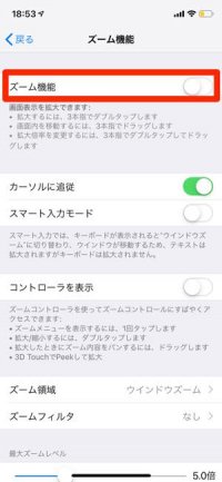 設定　ズーム　iPhone