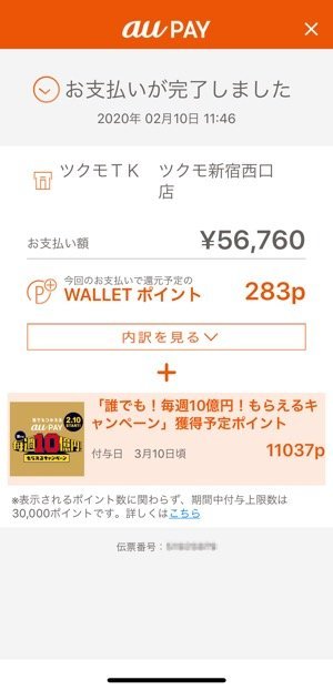 au PAY 20%還元キャンペーン　家電量販店