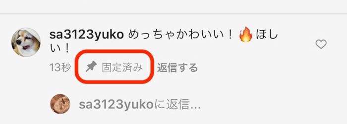 インスタグラム 投稿へのコメントを固定 ピン留め する方法 相手に通知されるので注意 アプリオ インスタグラム 投稿へのコメントを固定 ピン留め する方法 相手に通知されるので注意 アプリオ