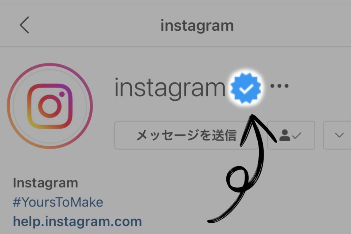 インスタグラムの認証バッジ 公式マーク が付く条件と申請方法 一般人でもできる アプリオ