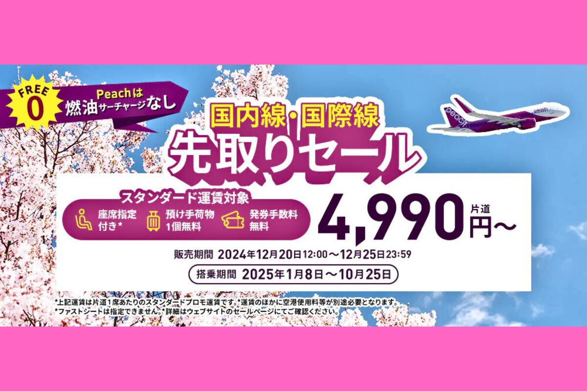 ビジネス・経済 peach ビジネス・経済 peach CATEGORY Peach Aviation | ひこーきちゃん