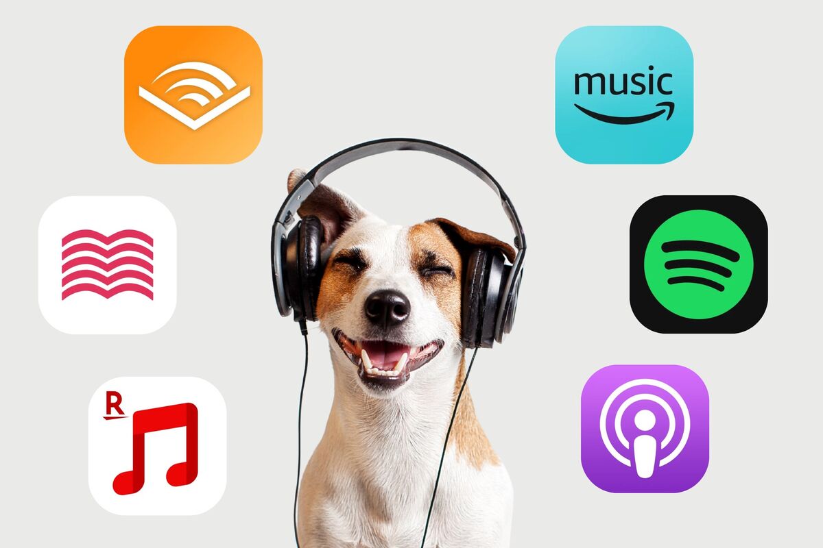 ポッドキャストが聴けるおすすめアプリ・サービス6選 使い方も解説 | アプリオ