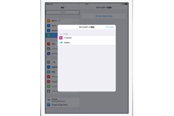 海外渡航に便利な「Apple SIM」が国内で販売開始、au網にも対応