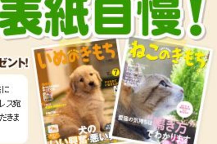 愛犬・愛猫を雑誌の表紙風に飾れるアプリ「いぬのきもちカメラ」「ねこのきもちカメラ」がリリース、ペット自慢コンテストも開催