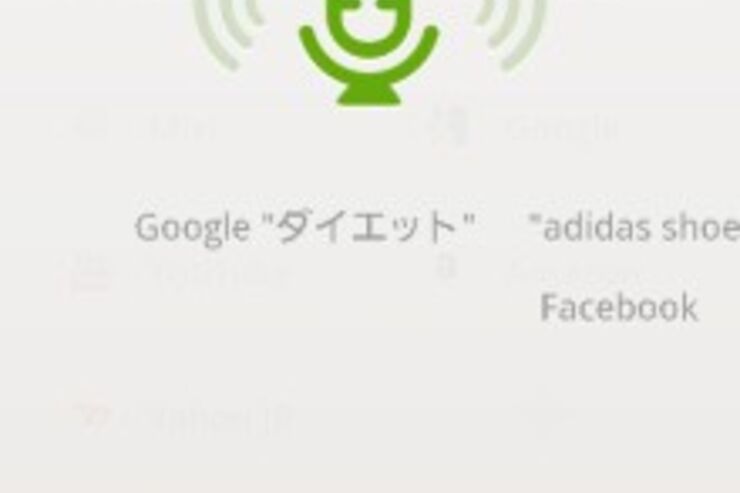 「ドルフィン ブラウザー HD」がアップデート、音声認識機能「Dolphin Sonar」の利用が日本語でも可能に