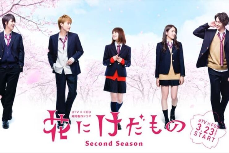 dTVでドラマ『花にけだもの』の続編を配信、3月23日正午から