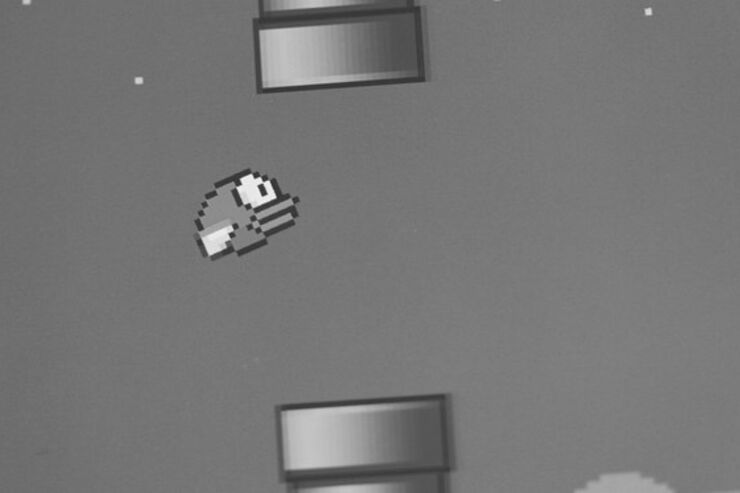 何が起きたのか？ 人気沸騰の鬼畜ゲーム「Flappy Bird」がアプリストアから取り下げへ