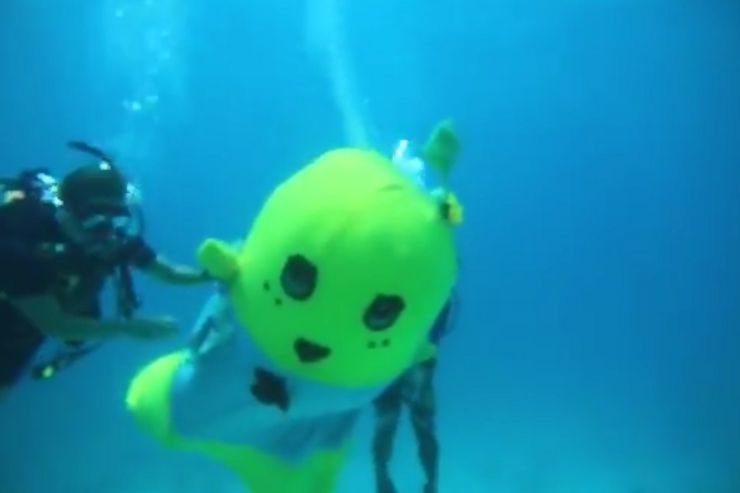 ［動画］ふなっしー、はじめて海に潜る