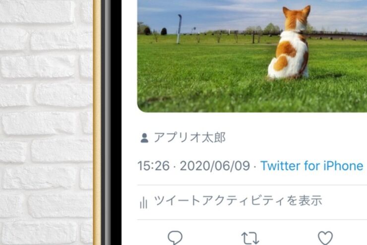 Twitterで「タグ付け」する方法──タグ付けできない要因や通知されるかなど解説