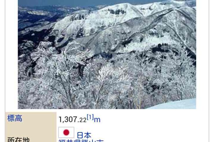 アプリ「ウィキペディアモバイル」Wikipediaの公式アプリ #Android