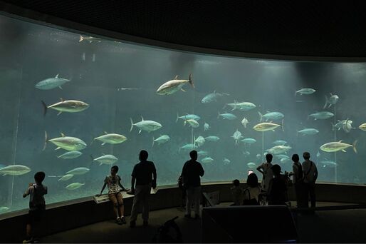 水族館に安く行く方法、お得なクーポン・割引情報まとめ