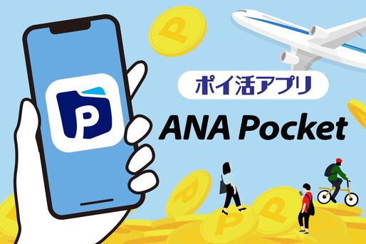 ANA Pocket