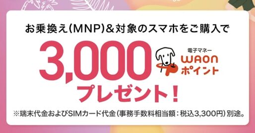 イオンモバイル、乗り換え＆iPhone 16eなど購入で3000ポイント還元キャンペーン　8月31日まで