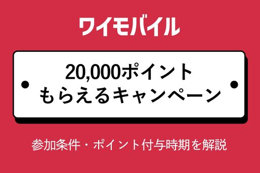 ワイモバイル2万ポイント