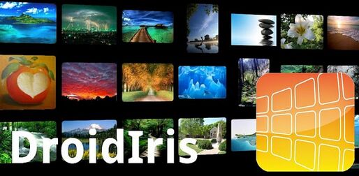 アプリ「DroidIris」一覧表示が美しい画像・動画検索アプリ #Android