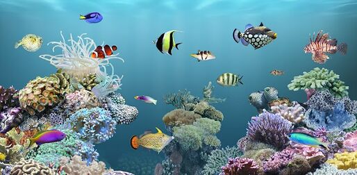 アプリ「aniPet海洋水族館ライブ壁紙」スマホで熱帯魚を育てよう #Android