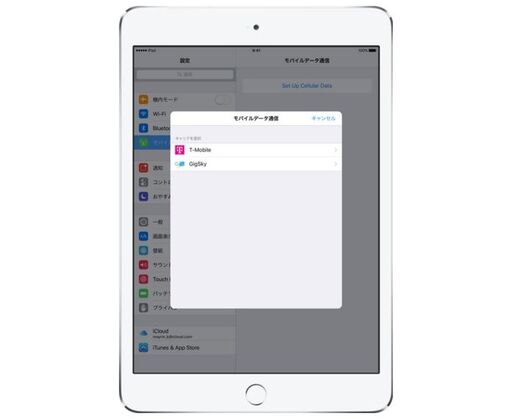 海外渡航に便利な「Apple SIM」が国内で販売開始、au網にも対応