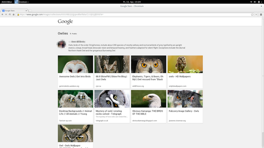 Google、新機能「Stars」を開発中　Web上の記事・画像・動画などを保存、共有、自動分類