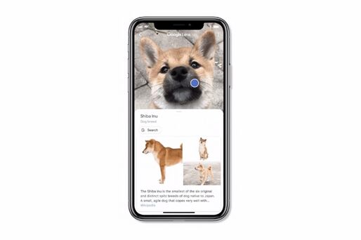 「Googleレンズ」がiOS版Googleアプリで利用可能に