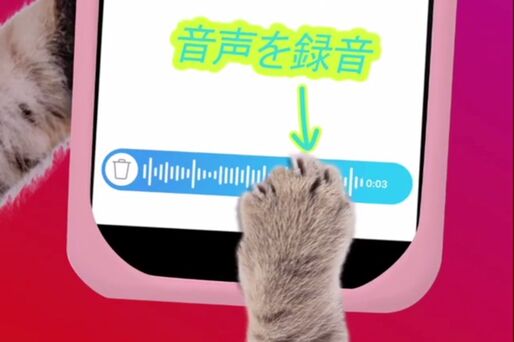 インスタグラム、ダイレクト（DM）でボイスメッセージの送信が可能に