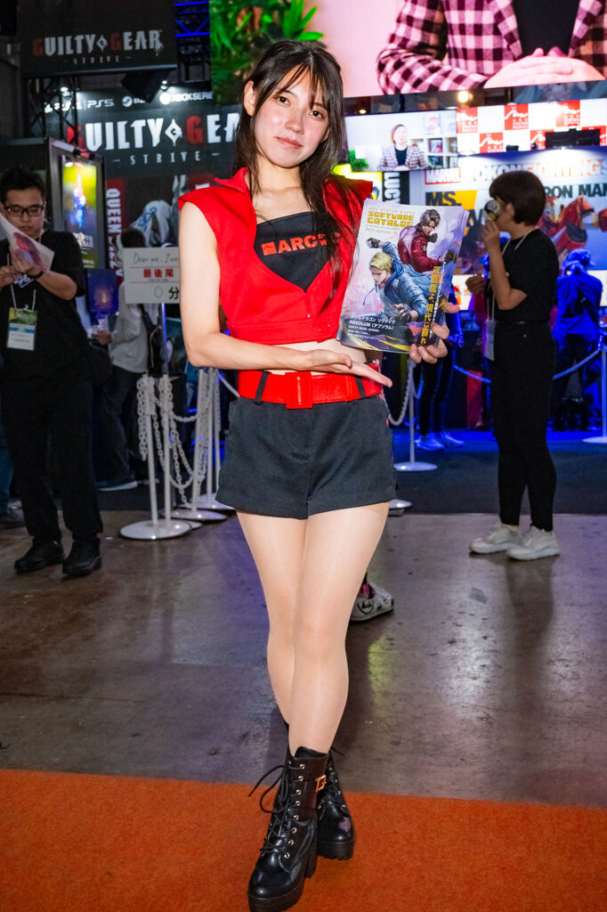 ARC SYSTEM WORKS