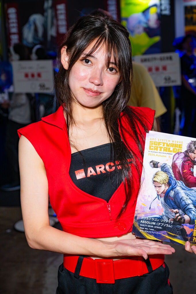ARC SYSTEM WORKS