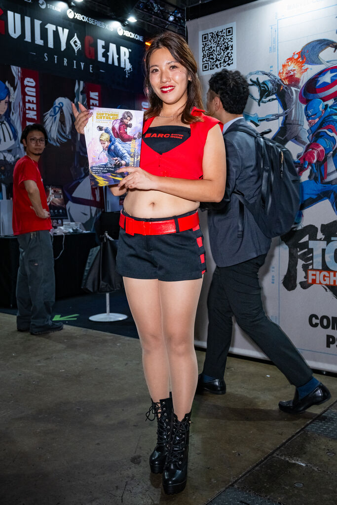 ARC SYSTEM WORKS