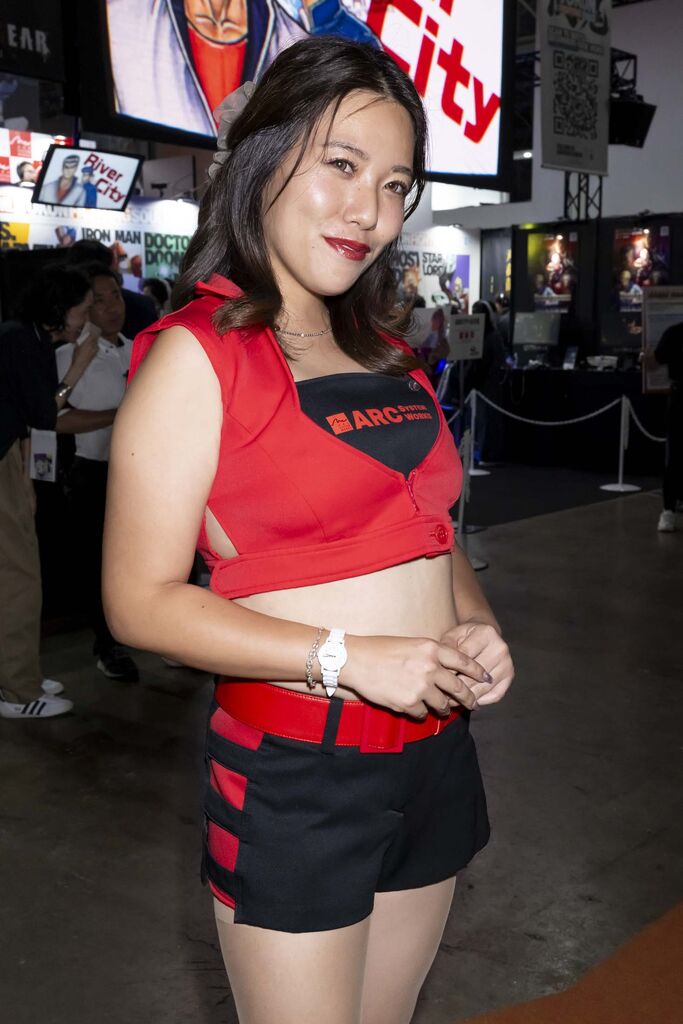 ARC SYSTEM WORKS