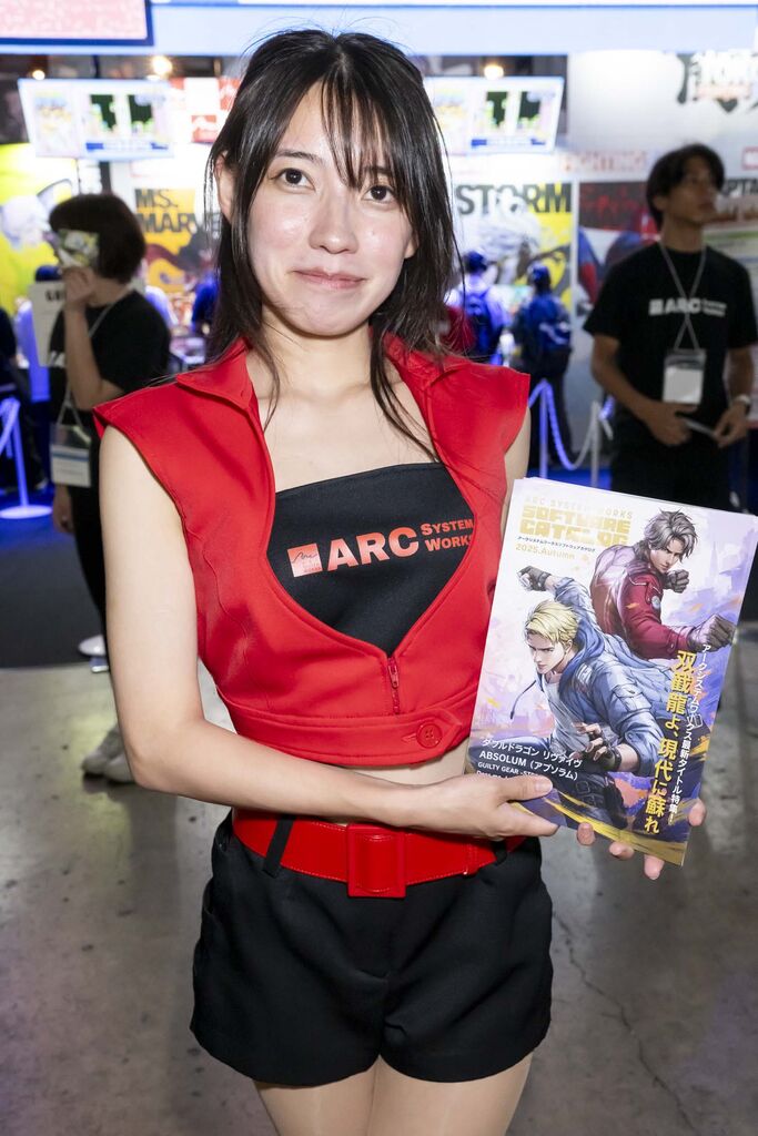ARC SYSTEM WORKS