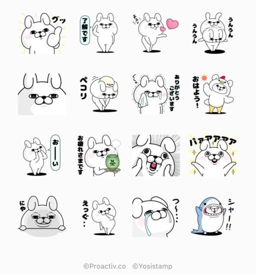うさぎ100%×プロアクティブ