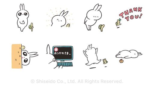 うさぎたんと毎日一緒♪