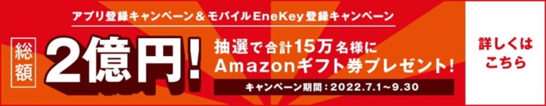 キャンペーン